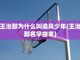 王治郅为什么叫追风少年(王治郅名字由来)