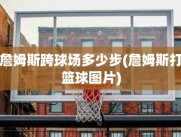 詹姆斯跨球场多少步(詹姆斯打篮球图片)