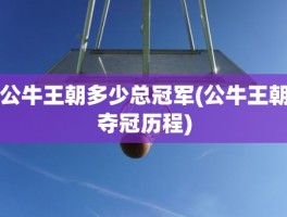 公牛王朝多少总冠军(公牛王朝夺冠历程)