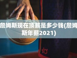 詹姆斯现在顶薪是多少钱(詹姆斯年薪2021)