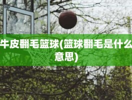 牛皮翻毛篮球(篮球翻毛是什么意思)