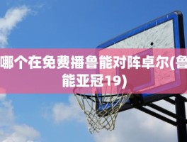 哪个在免费播鲁能对阵卓尔(鲁能亚冠19)