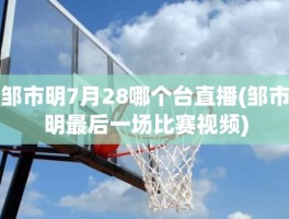 邹市明7月28哪个台直播(邹市明最后一场比赛视频)