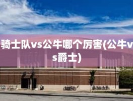 骑士队vs公牛哪个厉害(公牛vs爵士)