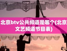 北京btv公共频道是哪个(北京文艺频道节目表)
