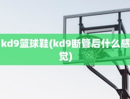 kd9篮球鞋(kd9断管后什么感觉)