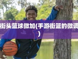 街头篮球微加(手游街篮的微调)