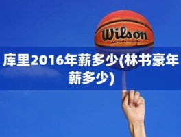 库里2016年薪多少(林书豪年薪多少)