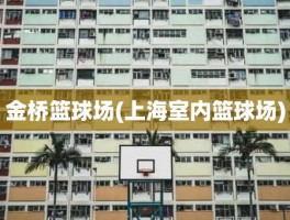 金桥篮球场(上海室内篮球场)