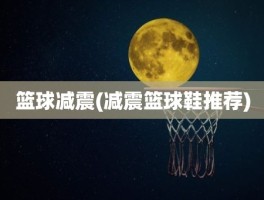 篮球减震(减震篮球鞋推荐)