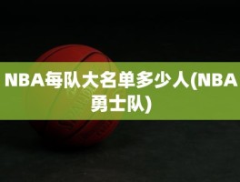 NBA每队大名单多少人(NBA勇士队)