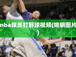 nba球员打野球视频(姚明图片)