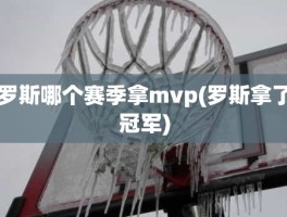 罗斯哪个赛季拿mvp(罗斯拿了冠军)