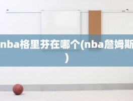 nba格里芬在哪个(nba詹姆斯)