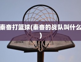 秦奋打篮球(秦奋的战队叫什么)