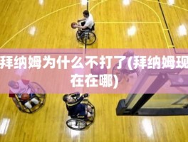 拜纳姆为什么不打了(拜纳姆现在在哪)