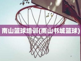 南山篮球培训(南山书城篮球)