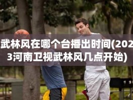 武林风在哪个台播出时间(2023河南卫视武林风几点开始)