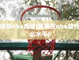 姚明nba成绩(姚明在nba算什么水平)