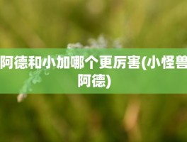 阿德和小加哪个更厉害(小怪兽阿德)