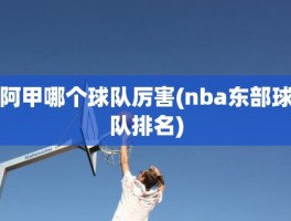 阿甲哪个球队厉害(nba东部球队排名)