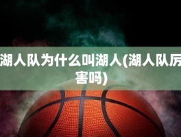 湖人队为什么叫湖人(湖人队厉害吗)