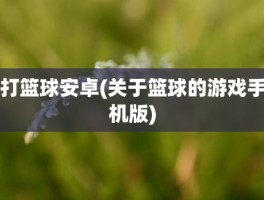 打篮球安卓(关于篮球的游戏手机版)