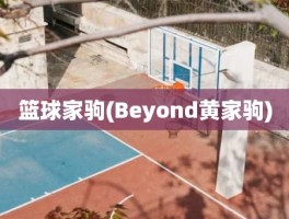 篮球家驹(Beyond黄家驹)