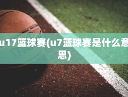 u17篮球赛(u7篮球赛是什么意思)