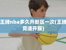 王牌nba多久开新区一次(王牌竞速开服)