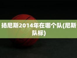 扬尼斯2014年在哪个队(尼斯队标)