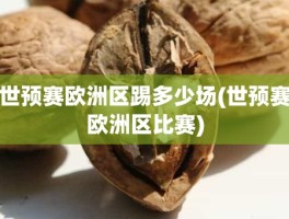 世预赛欧洲区踢多少场(世预赛欧洲区比赛)