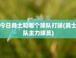 今日勇土和哪个球队打球(勇士队主力球员)
