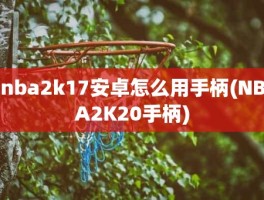 nba2k17安卓怎么用手柄(NBA2K20手柄)