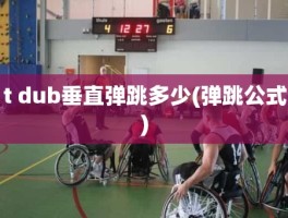 t dub垂直弹跳多少(弹跳公式)