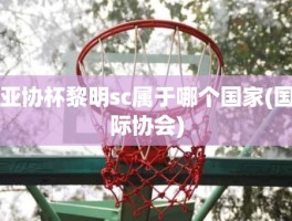 亚协杯黎明sc属于哪个国家(国际协会)