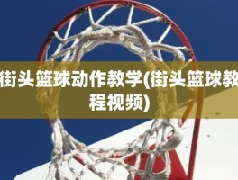 街头篮球动作教学(街头篮球教程视频)