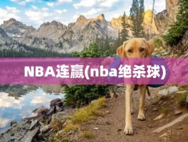 NBA连赢(nba绝杀球)