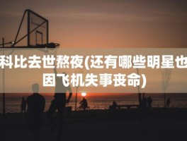 科比去世熬夜(还有哪些明星也因飞机失事丧命)