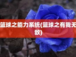 篮球之能力系统(篮球之有我无敌)