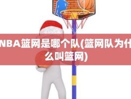 NBA篮网是哪个队(篮网队为什么叫篮网)