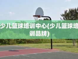 少儿篮球培训中心(少儿篮球培训品牌)