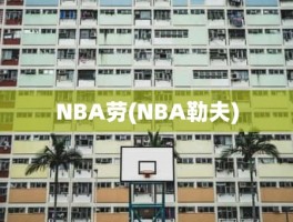 NBA劳(NBA勒夫)