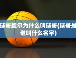 球哥鲍尔为什么叫球哥(球哥是谁叫什么名字)