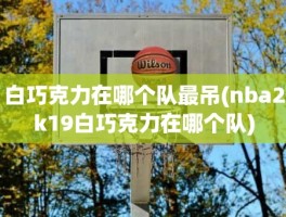 白巧克力在哪个队最吊(nba2k19白巧克力在哪个队)