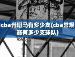 cba升班马有多少支(cba常规赛有多少支球队)