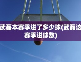 武磊本赛季进了多少球(武磊这赛季进球数)