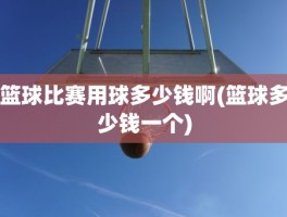篮球比赛用球多少钱啊(篮球多少钱一个)