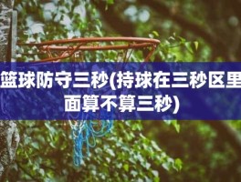 篮球防守三秒(持球在三秒区里面算不算三秒)