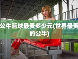 公牛篮球最贵多少元(世界最贵的公牛)